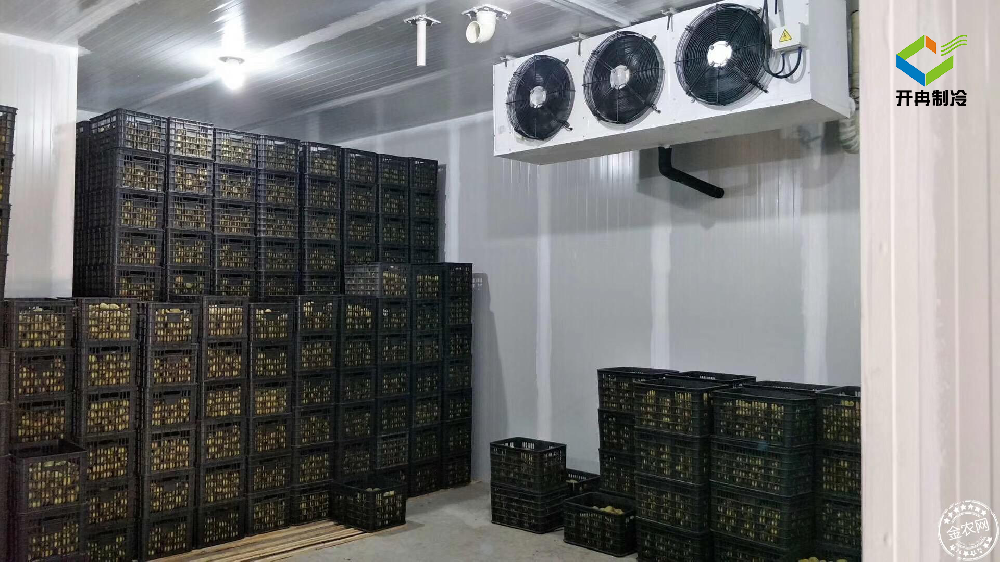 建造一個(gè)100噸的水果保鮮冷庫(kù)多少錢？
