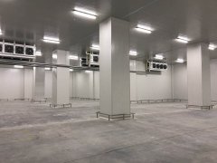 600噸香蕉保鮮冷庫報價，貯藏技術