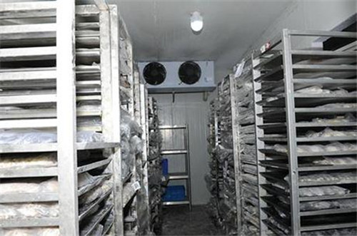 2000噸魚(yú)類冷庫(kù)