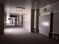 3000平米的食品多溫型冷庫哪些因素影響建造費用？